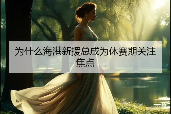 为什么海港新援总成为休赛期关注焦点